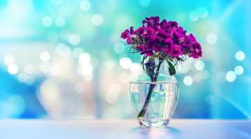 新颖美艳背景素材 -9-（3组）50款