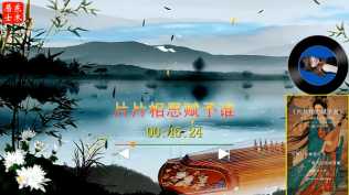 晓依-片片相思赋予谁