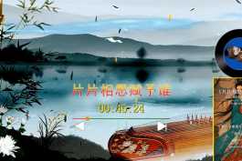 晓依-片片相思赋予谁