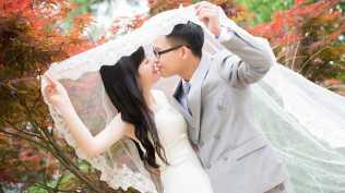 2026第377重发 【超长】精美婚礼翻页写真《情路弯弯》相册