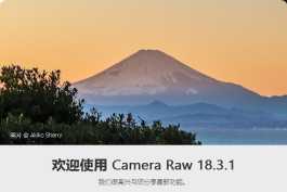 Camera Raw 18.3.1又更新了！