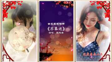 竖版唯美古风格调照片展示