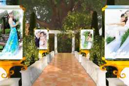 【模板分享】AE风格3D相册  醉相思