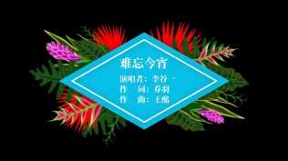 2026第94重发 炫彩唯美字幕条展示（5个）