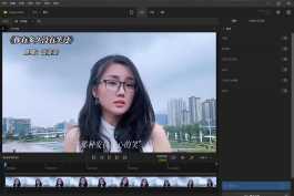 Topaz Video 1.4.1 中文汉化版