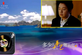 王爱华-敢问岁月饶过谁