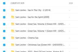 外语发烧音乐12 CD