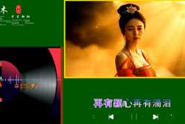 尚芸菲 - 别恋歌