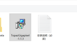 Topaz Gigapixel Pro v1.1.3 Win汉化正式版