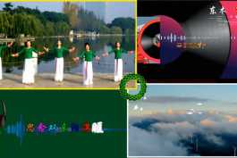 秋叶黄了想爹娘-赵真