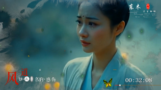 王娜-风有没有对你讲