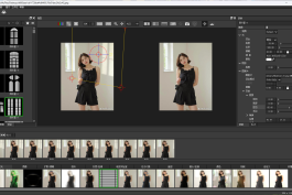 Boris FX Optics 2026.0 原版+汉化补丁