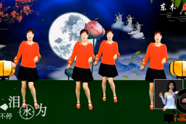 夜夜把你梦 - 红蔷薇