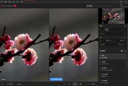 TopazGigapixel v1.2.0 H （便携版）