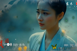 王娜-风有没有对你讲