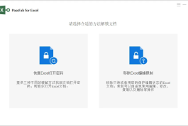 PassFab for Excel  版 v8.5.15.0 | Excel文件密码破解恢复工具 中文绿色 版
