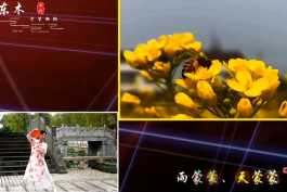 崔叶华 - 江南雨蒙蒙