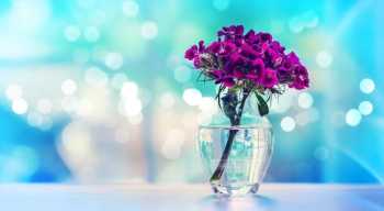 新颖美艳背景素材 -9-（3组）50款