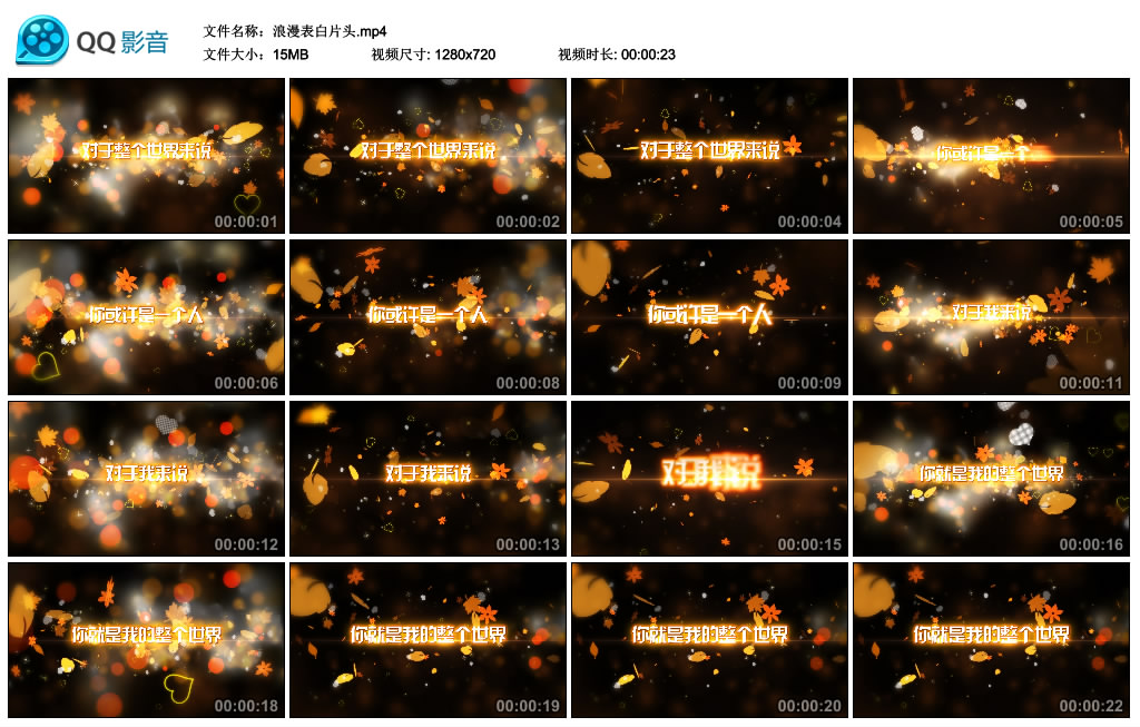 浪漫表白片头.mp4_thumbs_2014.06.16.17_59_41.jpg