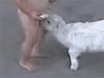 400.gif