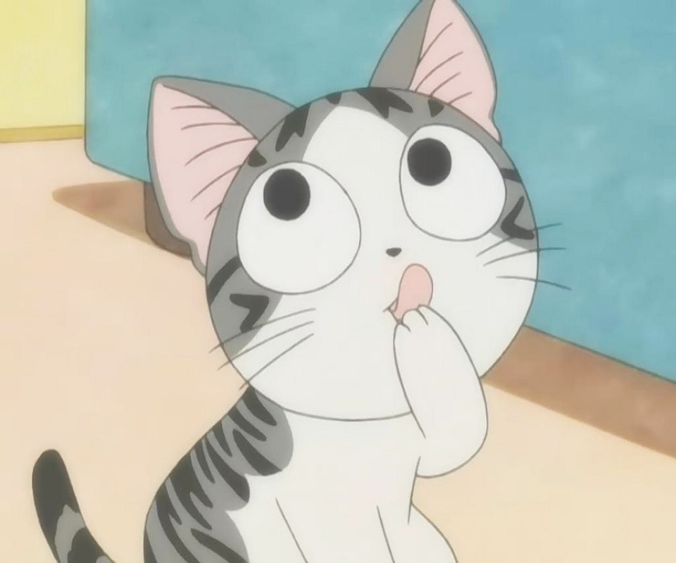 起司猫-动漫专区-动漫贴图-我学会声会影 - powered by discuz!