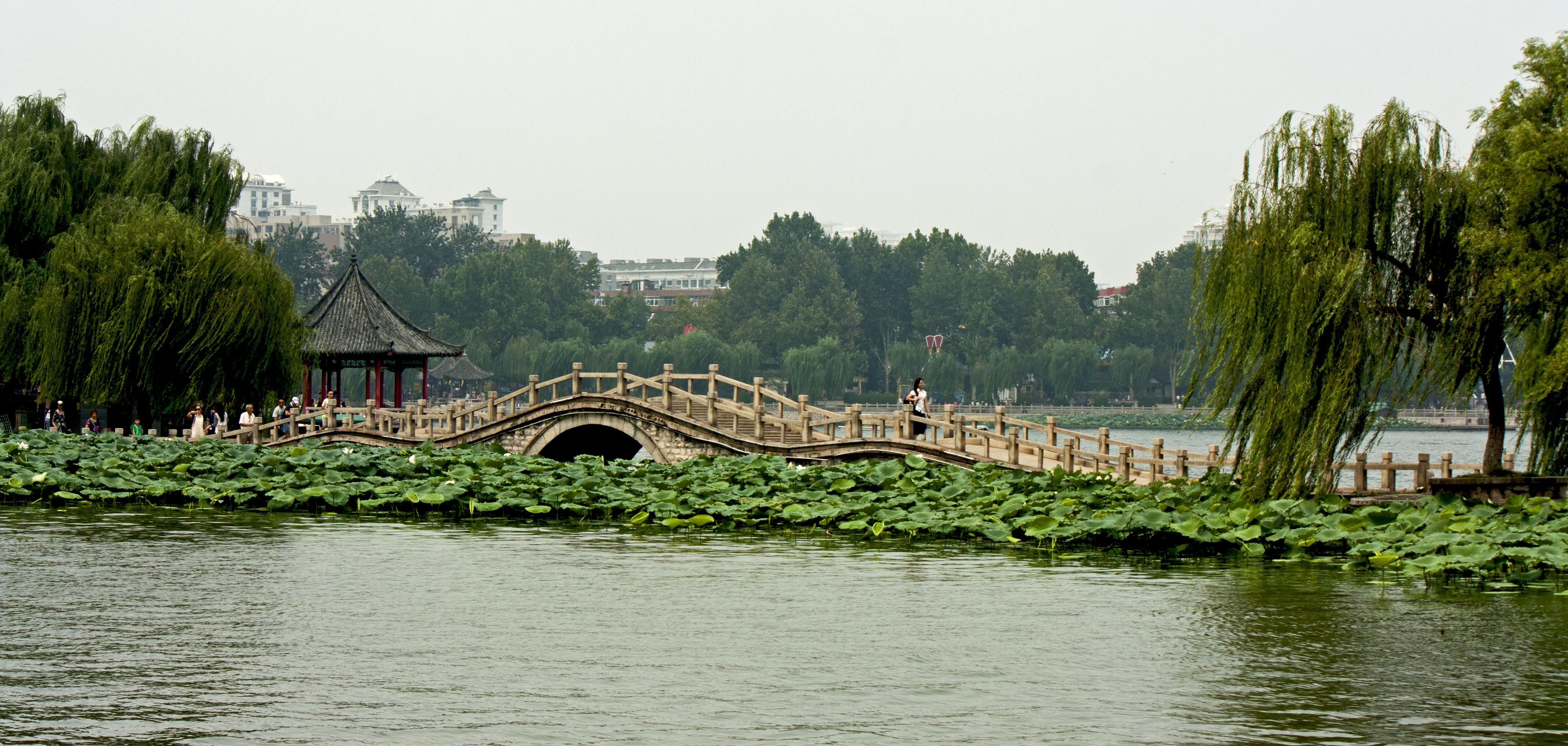IMG_7588.JPG