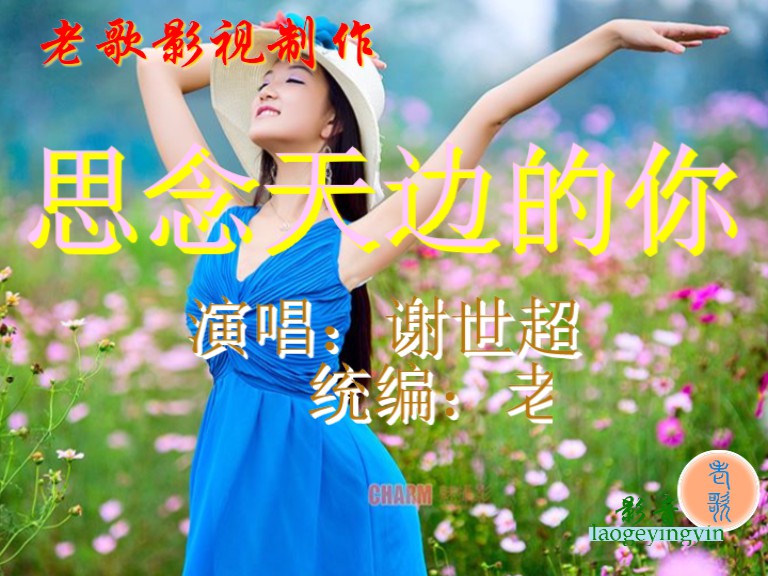思念天边的你