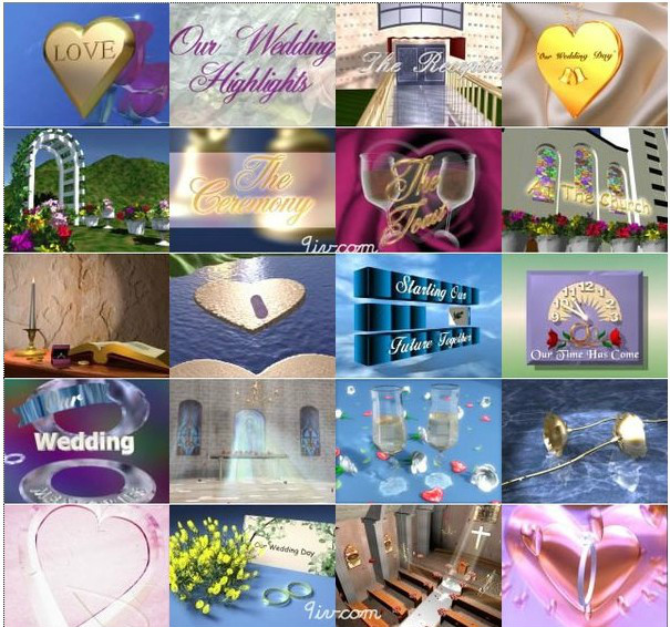 ActionBacks Wedding Motion 5DVD (婚礼片头视频背景素材)