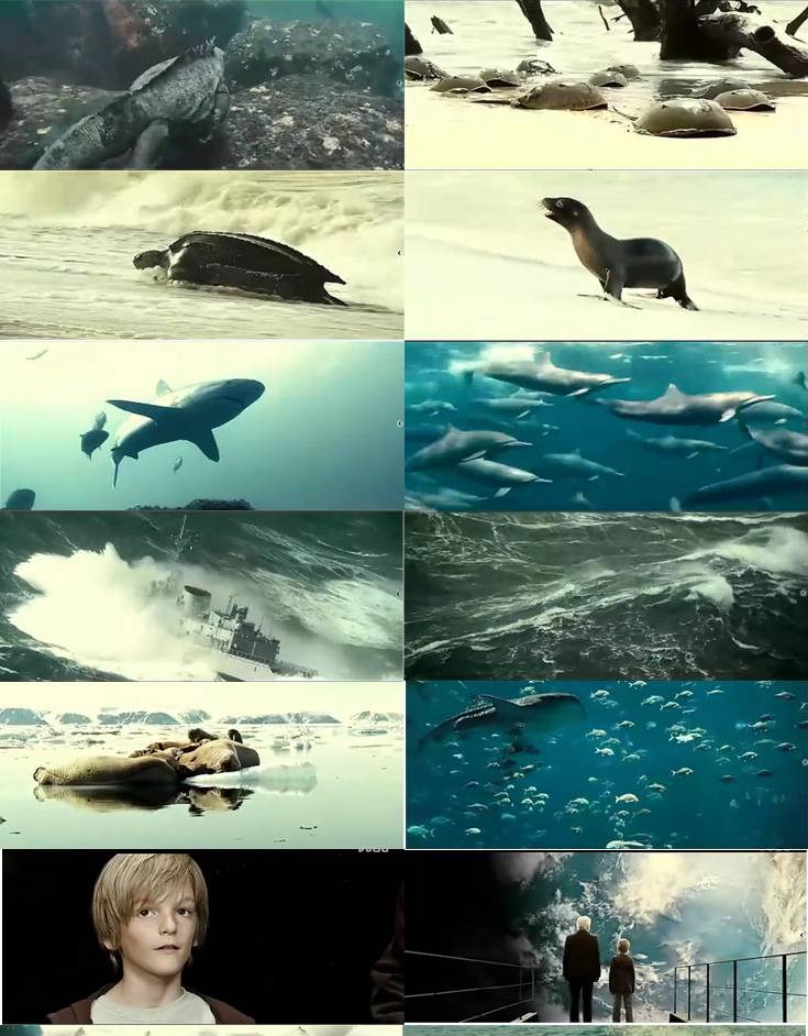 纪录片《海洋》,1080p高清无字幕,里面有大量的空镜头！