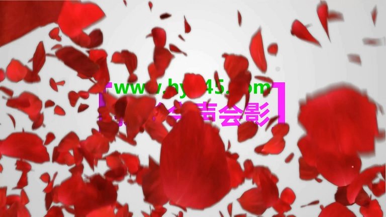 美丽的玫瑰花瓣喷涌飞舞浪漫婚庆片头模板