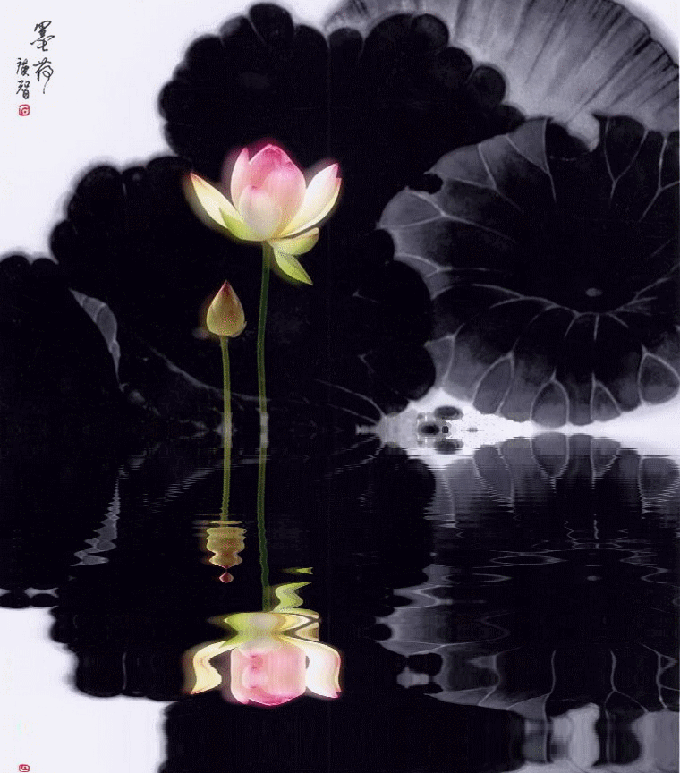 16、水墨荷花.gif
