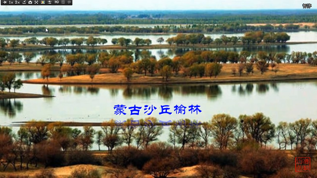 吉林向海黄榆林风景