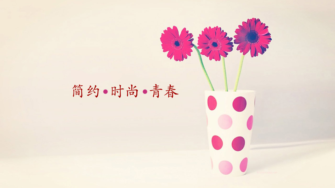 简约、时尚、青春