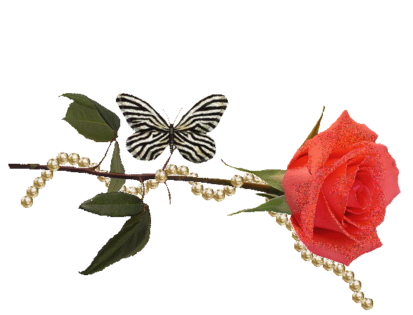 151749pbvz6zr2plv66rmp.gif