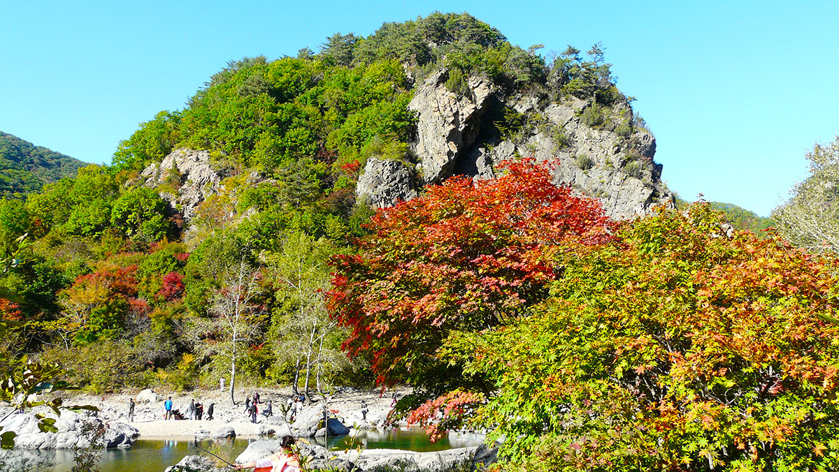 P1000302.JPG