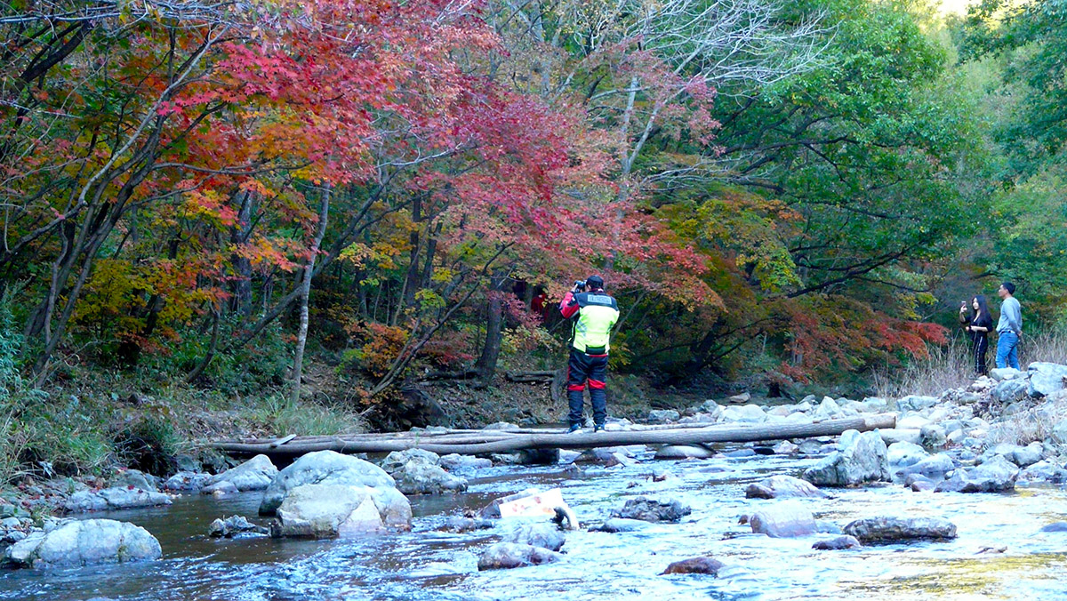 P1000314.JPG