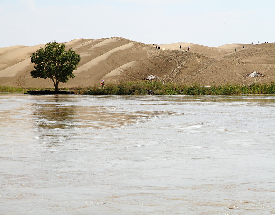 塔里木河与沙漠