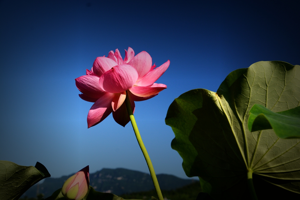 DSC_7521.JPG