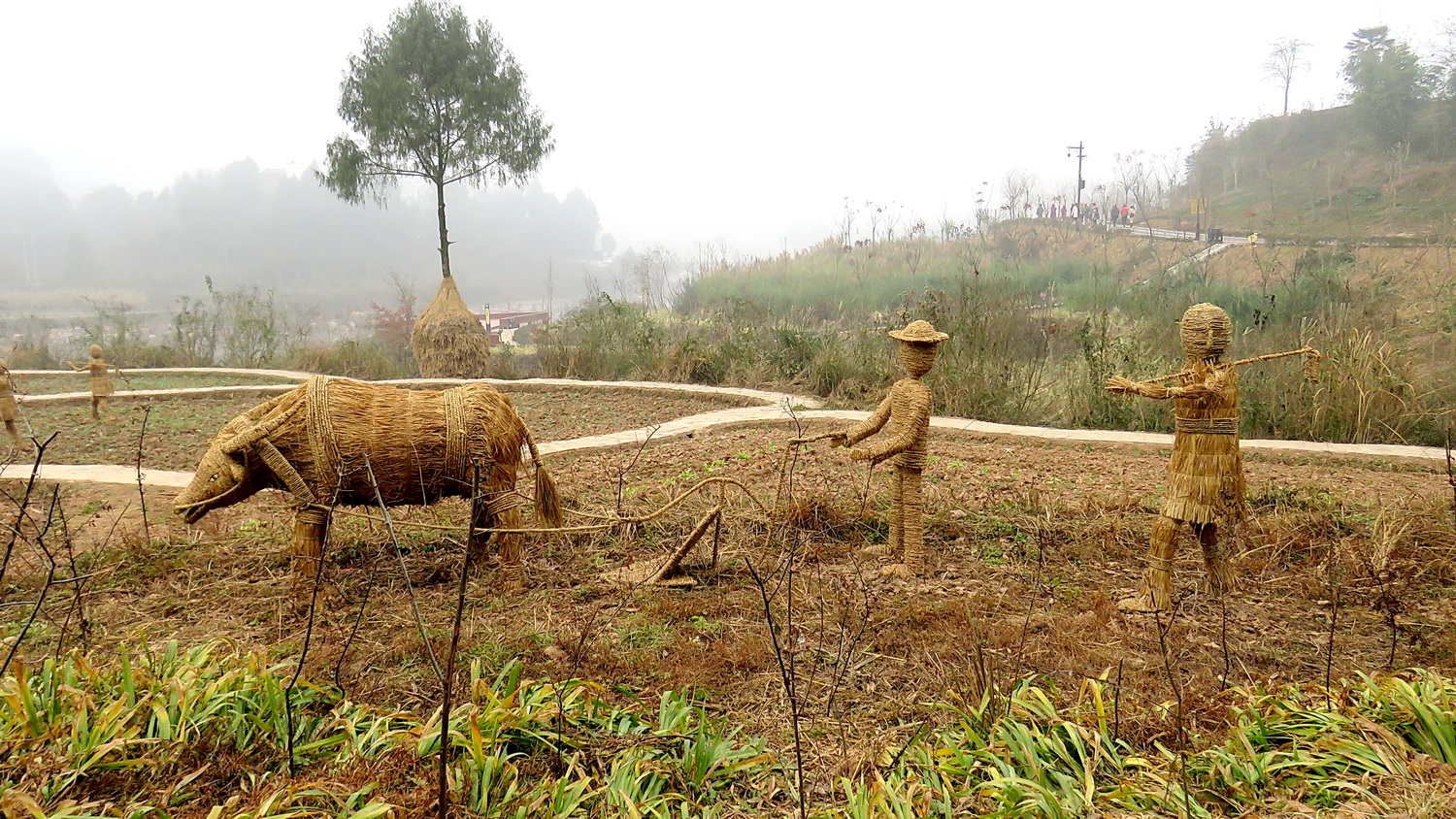 IMG_0096   草人.jpg