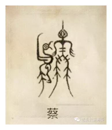 菜.jpg