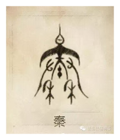秦.jpg