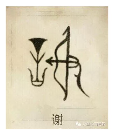 谢.jpg