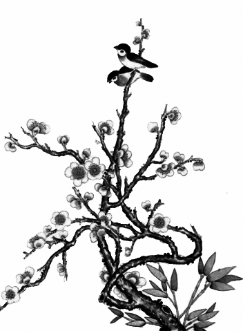 74408627_35.png