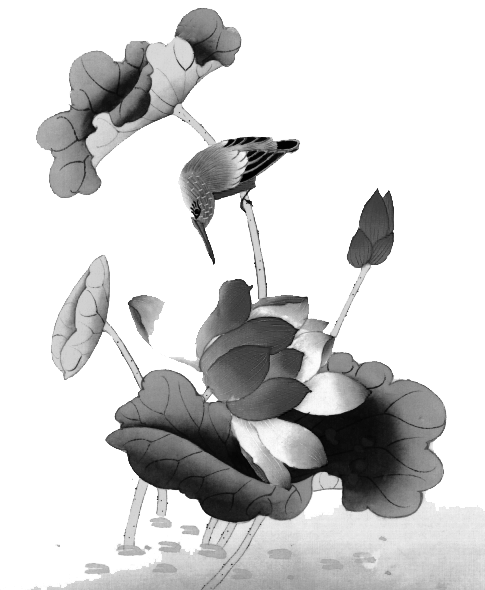 74408627_39.png