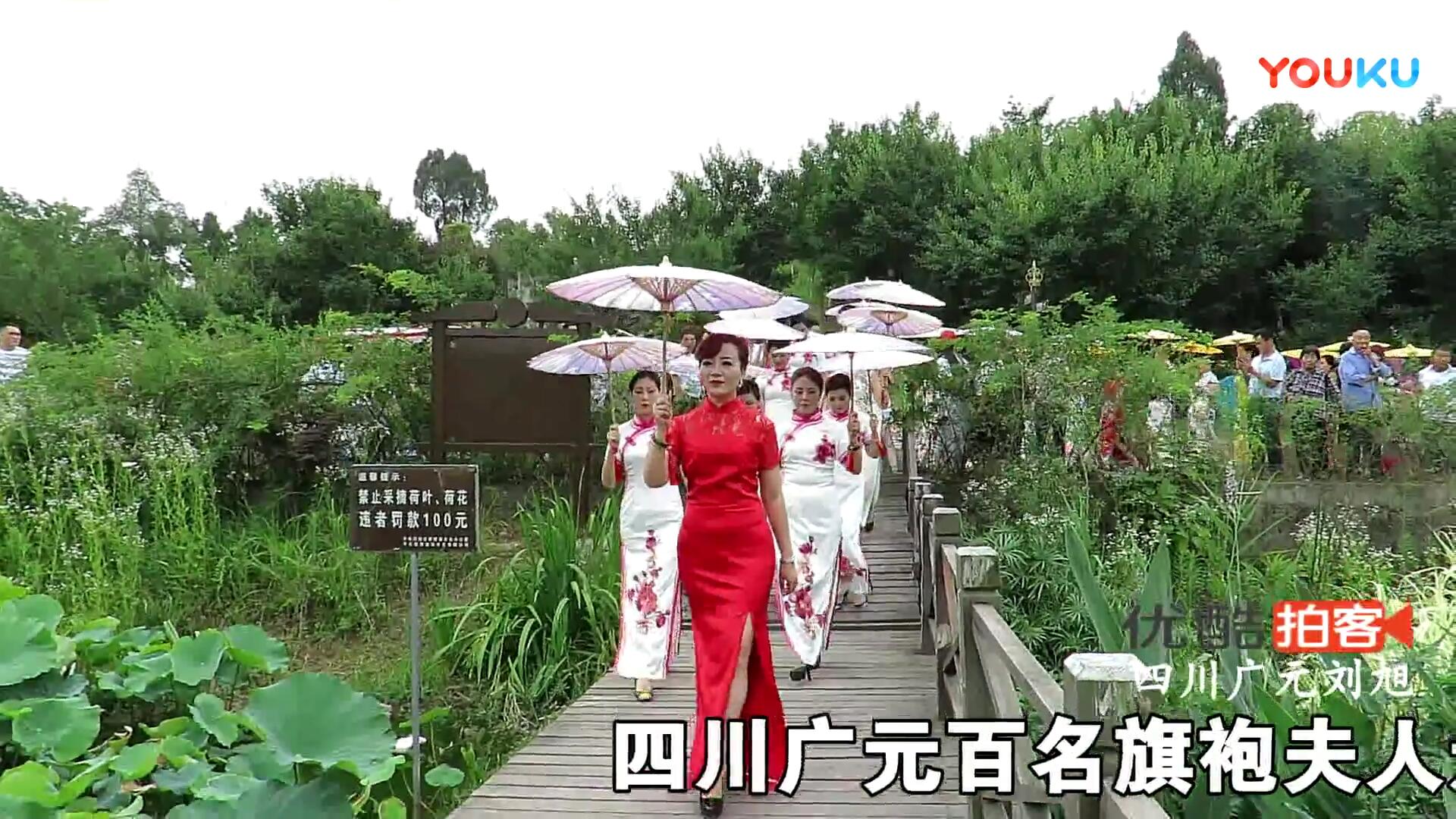 旗袍夫人2.jpg