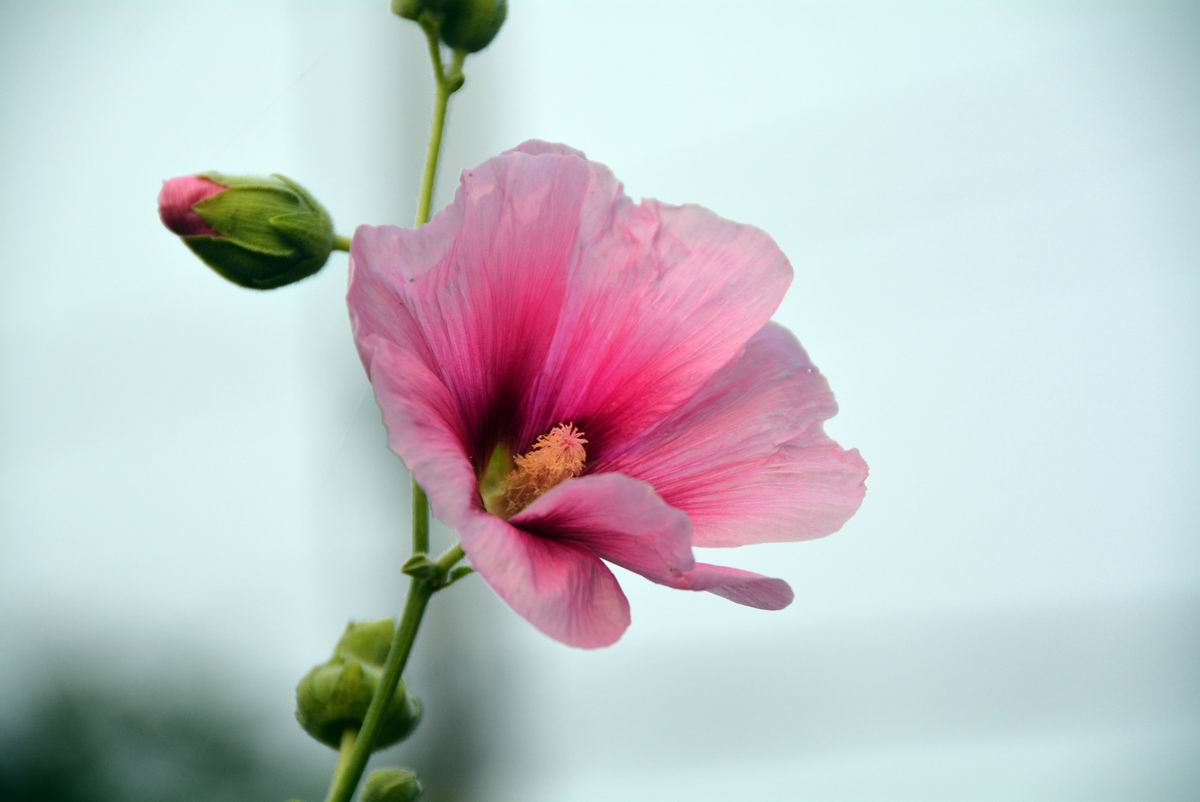 调整大小 DSC_0764.JPG