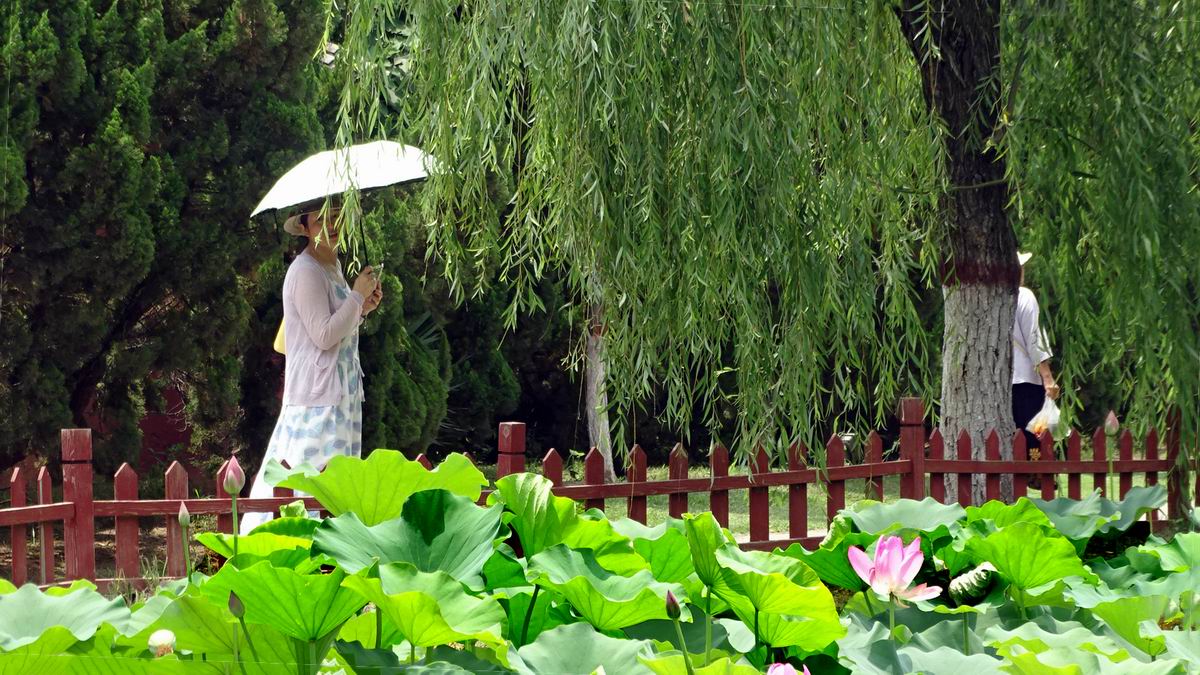 调整大小 DSC08330.JPG