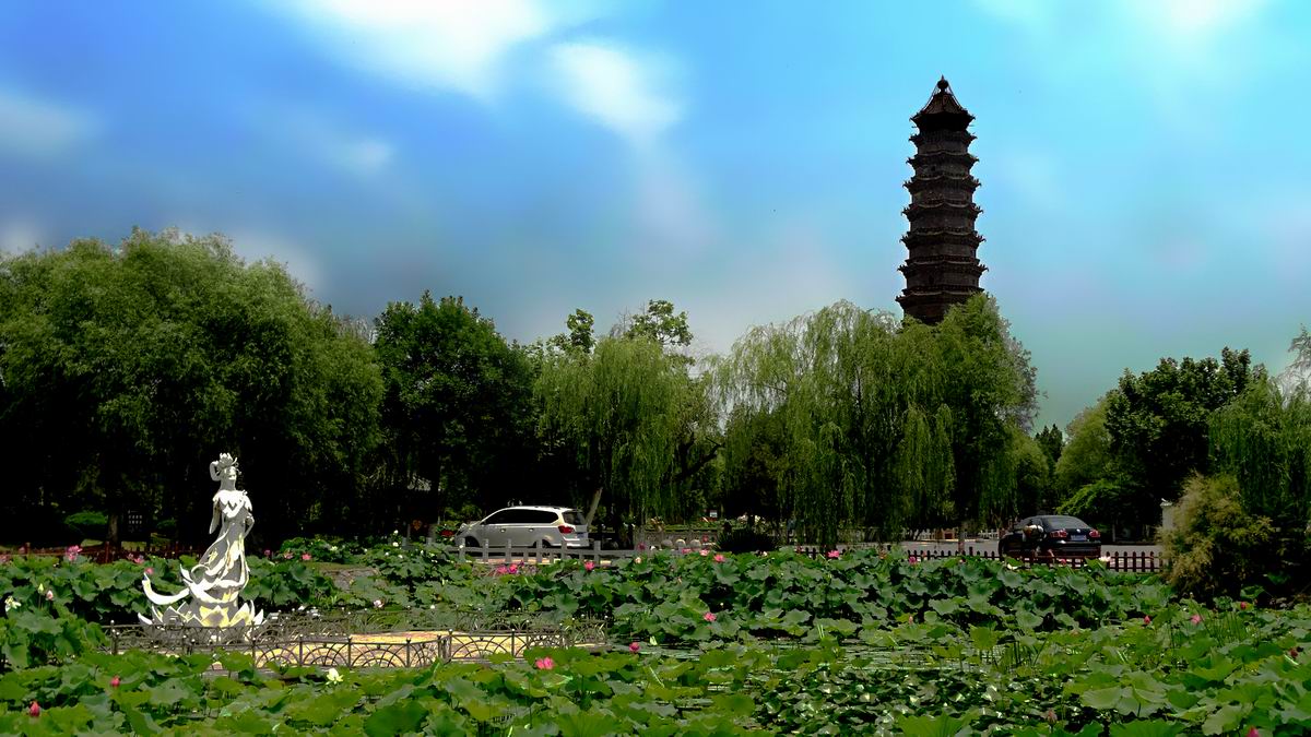 调整大小 DSC08326.JPG