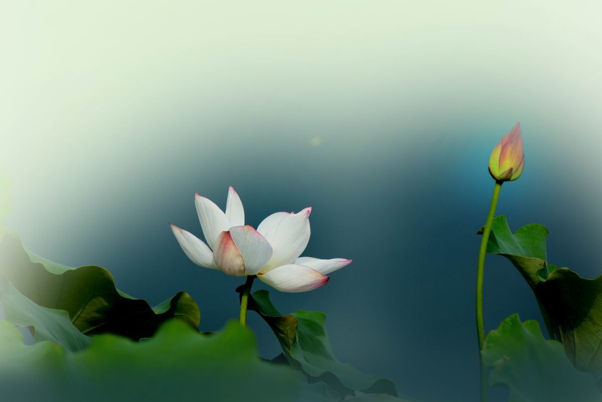 调整大小 DSC_0980.JPG
