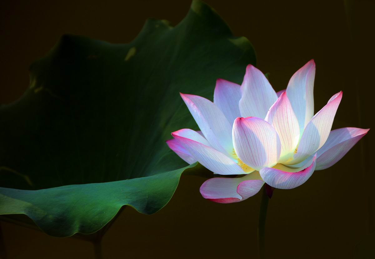 调整大小 DSC_1092.JPG